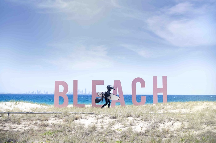 Bleach* Festival